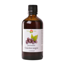 Parfumant coacăze negre 100ml 