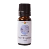 Parfumant Frosty Freshness 10ml 