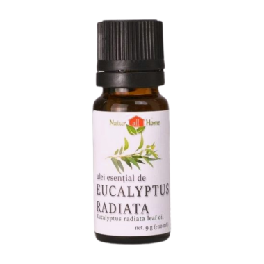 Ulei esențial de Eucalyptus Radiata 10ml