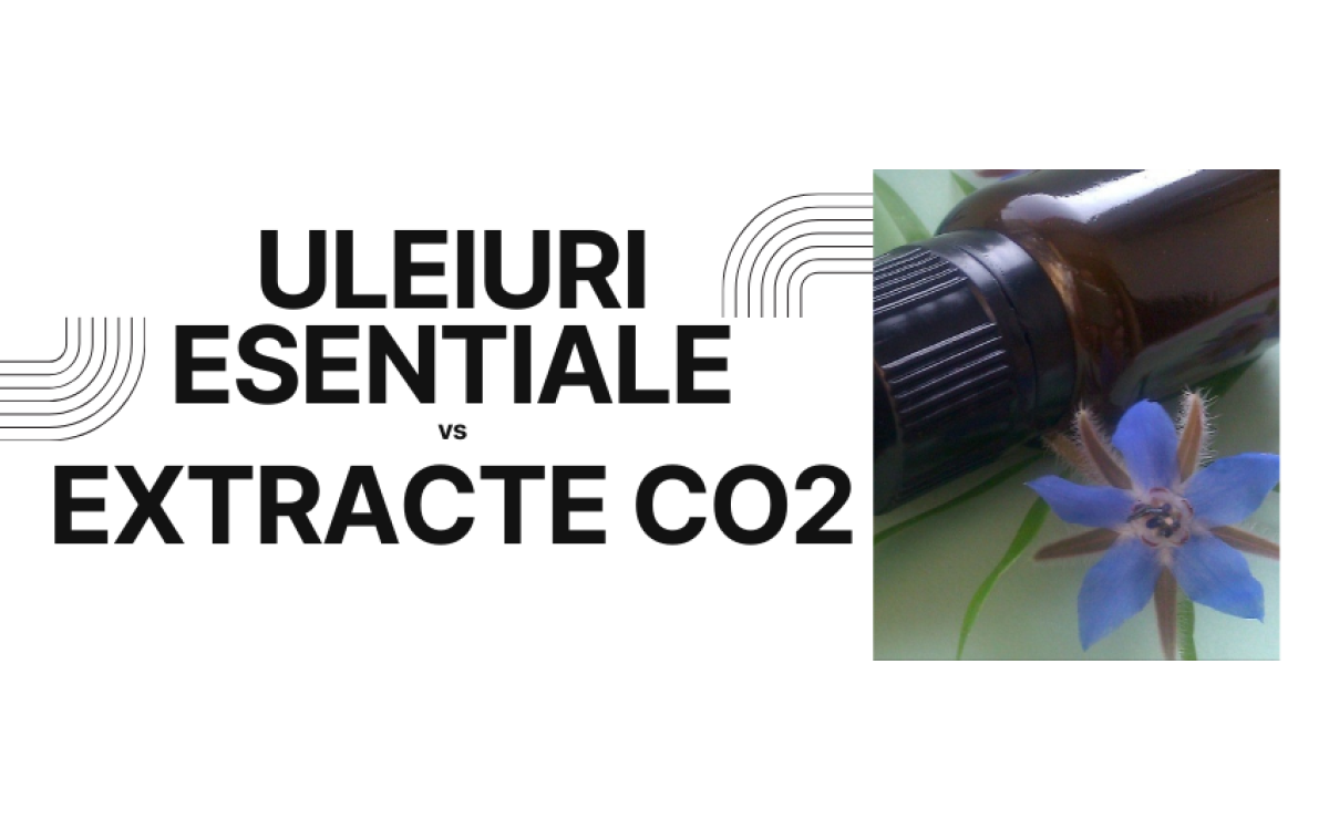 Descoperă Beneficiile Extractelor CO2 și Diferențele Față de Uleiurile Esențiale