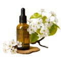 Extracte aromatice (4)