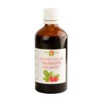Extract CO2 de trandafir salbatic 100ml Extract CO2 de trandafir salbatic 100ml