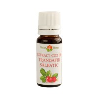 Extract CO2 de trandafir salbatic 10ml Extract CO2 de trandafir salbatic 10ml