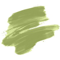Colorant cosmetic  Olive Green 30ml