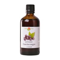 Parfumant coacaze negre 100ml 