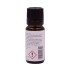 Parfumant Hot Chocolate 10ml  [3]