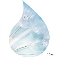 Ulei de Parfum de Cool Breeze 100% 10ml Ulei de Parfum de Cool Breeze 100% 10ml