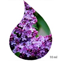 Ulei de Parfum de Liliac 100% 10ml