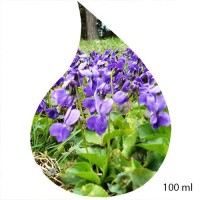 Ulei de Parfum de Violeta100ml