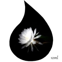 Ulei de Parfum Fara alergeni NIGHT FLOWER 100% - 10ml