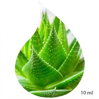 Ulei de Parfum de Aloe Vera 100% 10 ml