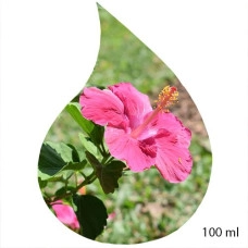 Ulei de Parfum de Hibiscus 100% 100 ml