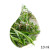 Parfumant natural plante medicinale 10 ml