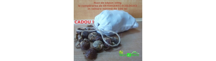 Detergenti BIO - Nuci de săpun